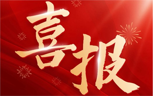 集团荣膺2025中国民营企业500强第249位，制造业民营企业500强第177位，排名较去年双双大幅提升